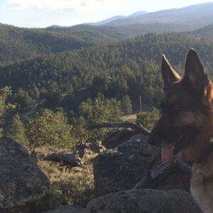 Full-time RVing Redux Wyatts-Last-Look-at-Jerrys-Acres