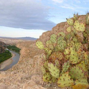 Big Bend Backcountry Rules Blues and Hillbilly Hideaways Big-Bend-Rio-Grande-Overlook-Cacti