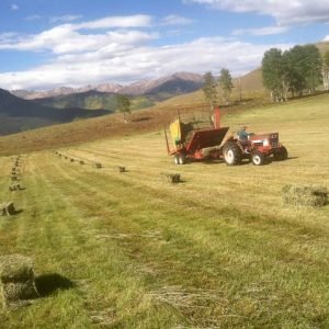 Highlights from Vickers Ranch Workamping Job IMG_5364w