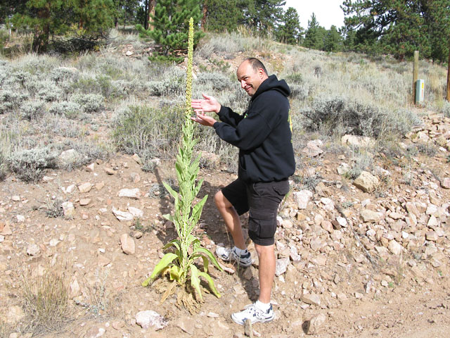 Neal predict snow height at Skunk Cactus Seed Level