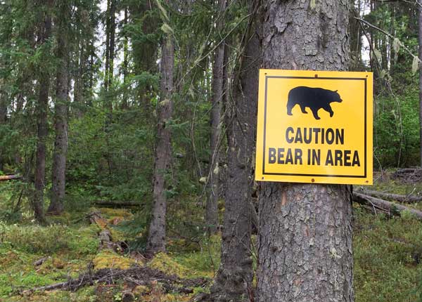 Tumbler Ridge Trail Bear Warning