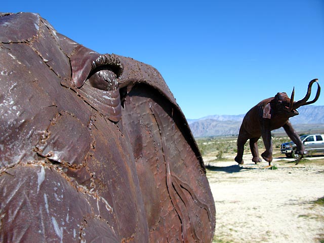 Galleta Meadows Elephants Borrego Springs