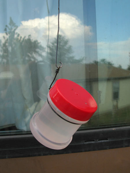 DIY hummingbird feeder for RVers