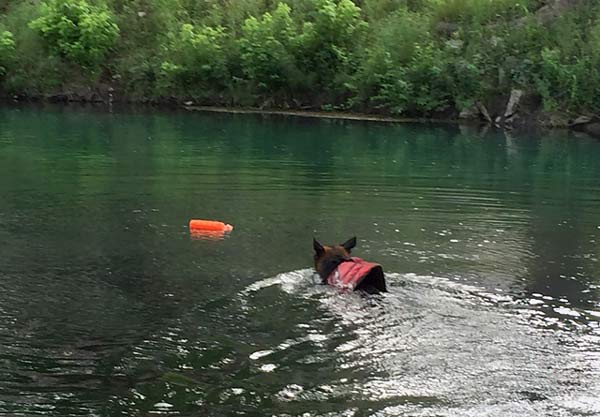 Wyatt swims the Comal at Landa RV Park