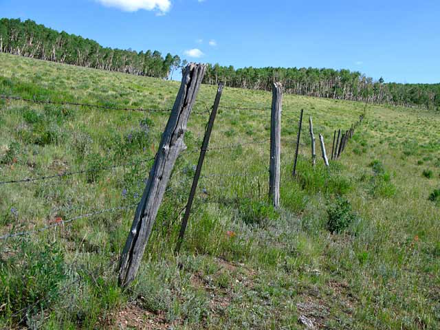 Vickers Ranch Workamping Mending Fences