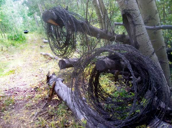 Old Barbed Wire Fencing